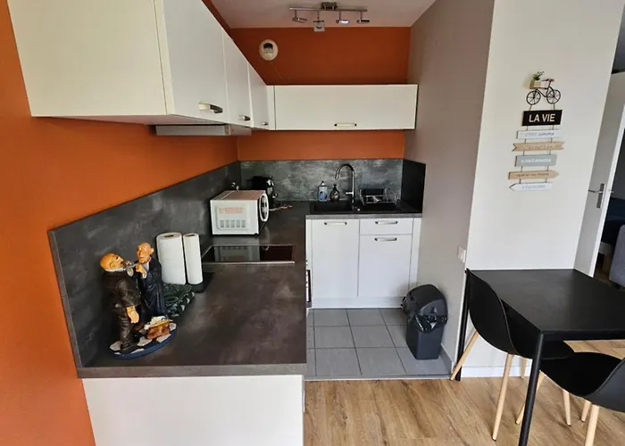 L\'Ambassadeur - Parking - Calme - 5 Min Centre Pau
